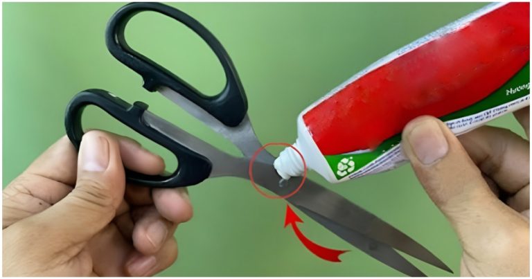 Scissors Sharpening Trick Using Toothpaste