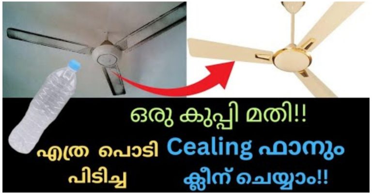 Easy Fan Cleaning Tip