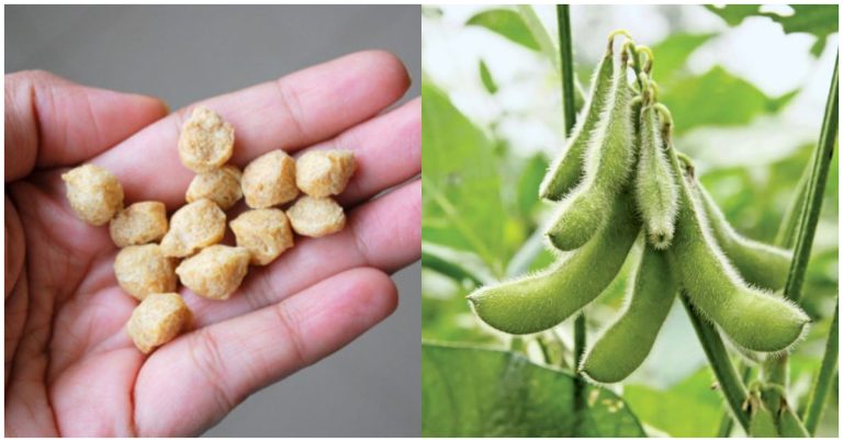 Amazing Facts About Soya Beans And Soya Chunks