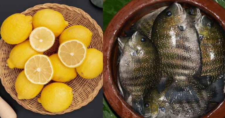 Tips For Karimeen Cleaning Using Lemon