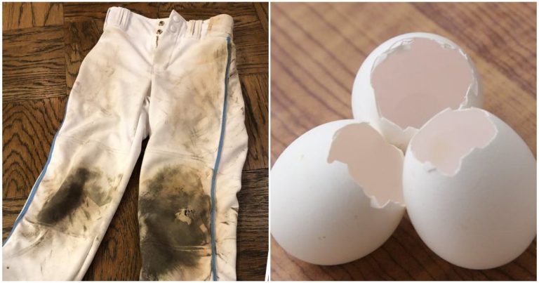 Dress And Bathroom Cleaning Using Eggshell