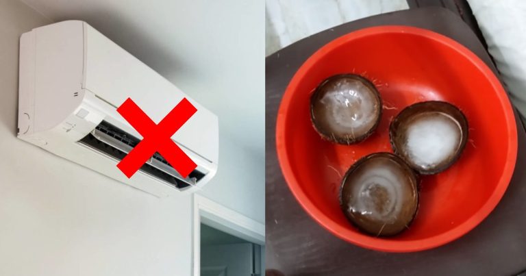 Coconut Shell For Room Air Conditioning