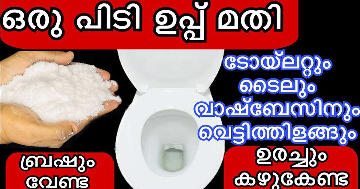 Salt For Cleaning Toilet