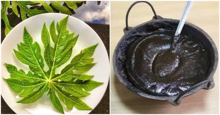 Papaya Leaf For Natural Haridye And Hair Growth