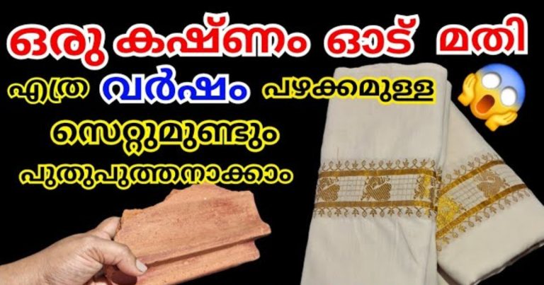 Easy Tips For Cleaning Settu Mundu