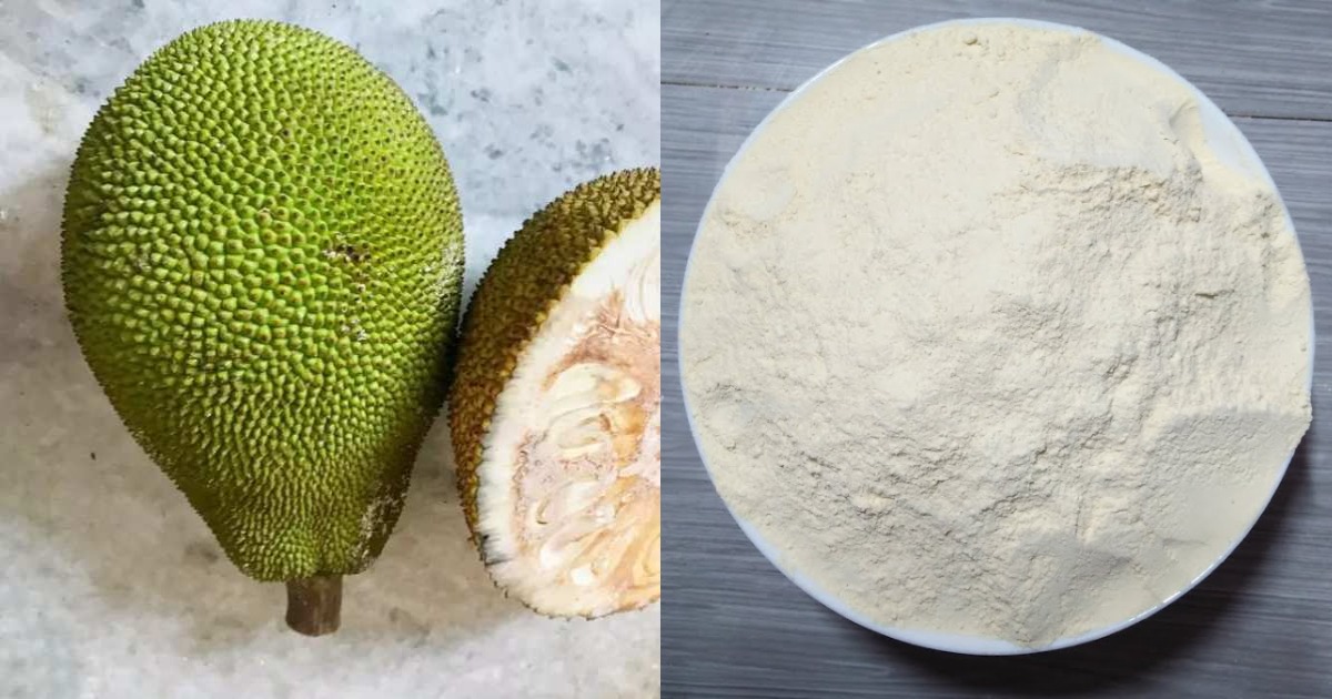 Home Made Jackfruit Powder