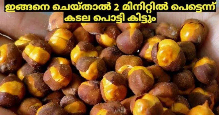 Tasty Special Kadala Varuthath