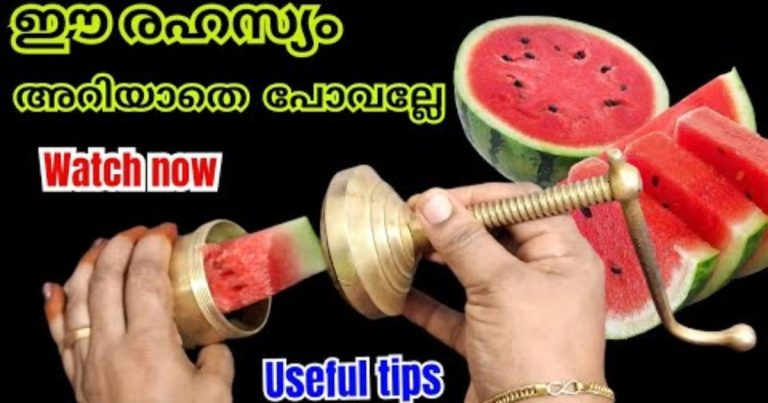 Thannimathan In Sevanazhi Tip